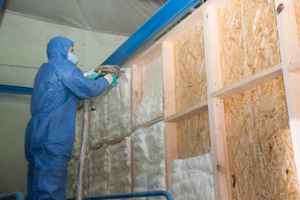 Best Garage Insulation Installation  in USA